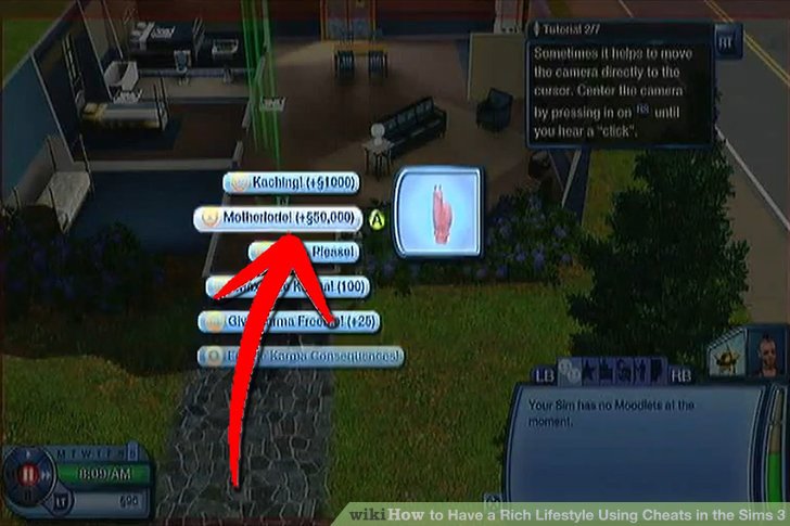 enabling cheats for the sims 3 pc